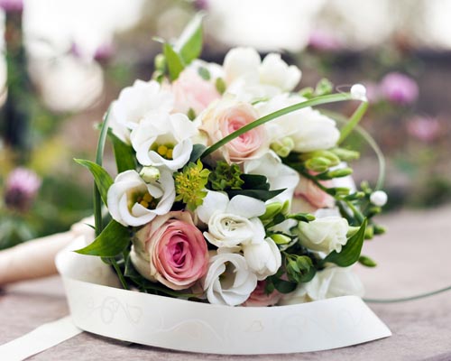 Hochzeitsprofis aus Sachsen