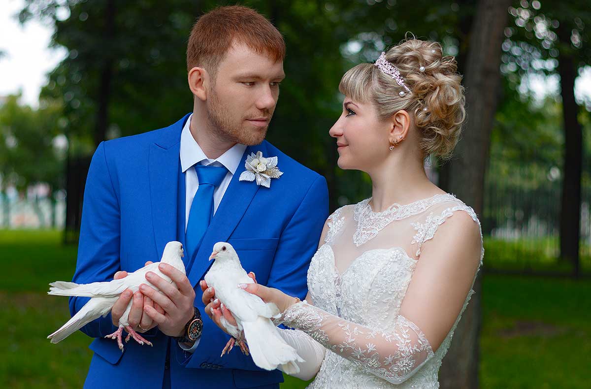 Hochzeitstauben Leipzig