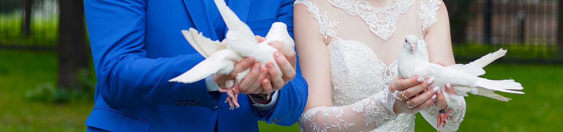 Hochzeitstauben Leipzig