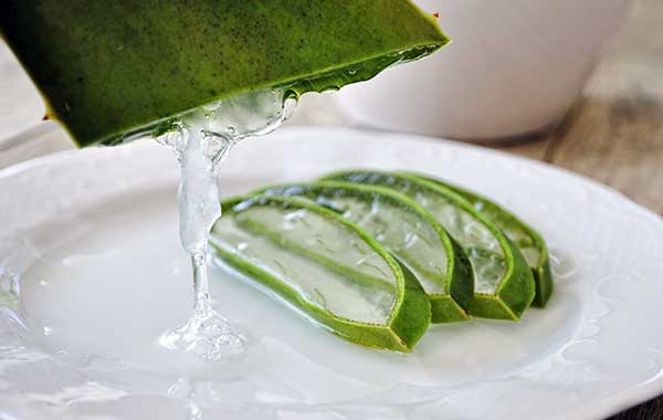 Ivonne Overmann – Hochzeitsvorbereitung & Coaching Leipzig