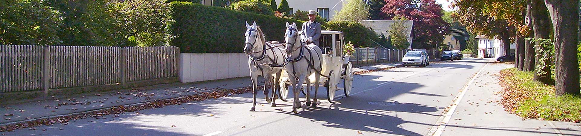 Pferdehof Lohß – Hochzeitskutsche für Chemnitz Pferdehof Lohß