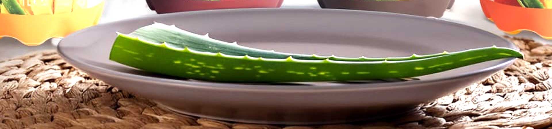 Ivonne Overmann – Hochzeitsvorbereitung & Coaching Leipzig Ivonne Overmann