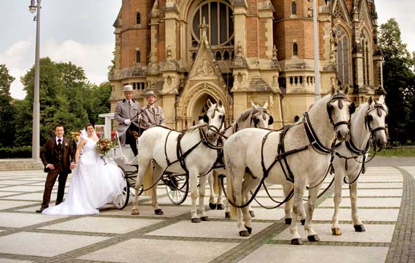 Pferdehof Lohß – Hochzeitskutsche für Chemnitz
