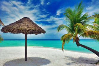 Reiseprofi Markranstädt – die schönsten Flitterwochen – weltweit