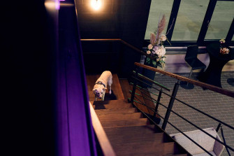 Extrabesonders Eventlocation – Hochzeitslocation in Pirna