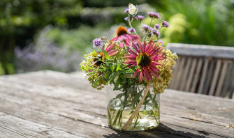 Villengarten am Standesamt Dresden – Sektempfang & Fotokulisse